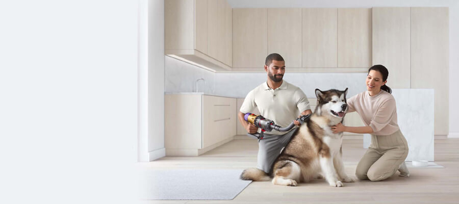 How Often Should You Groom Your Dog? A Complete Guide